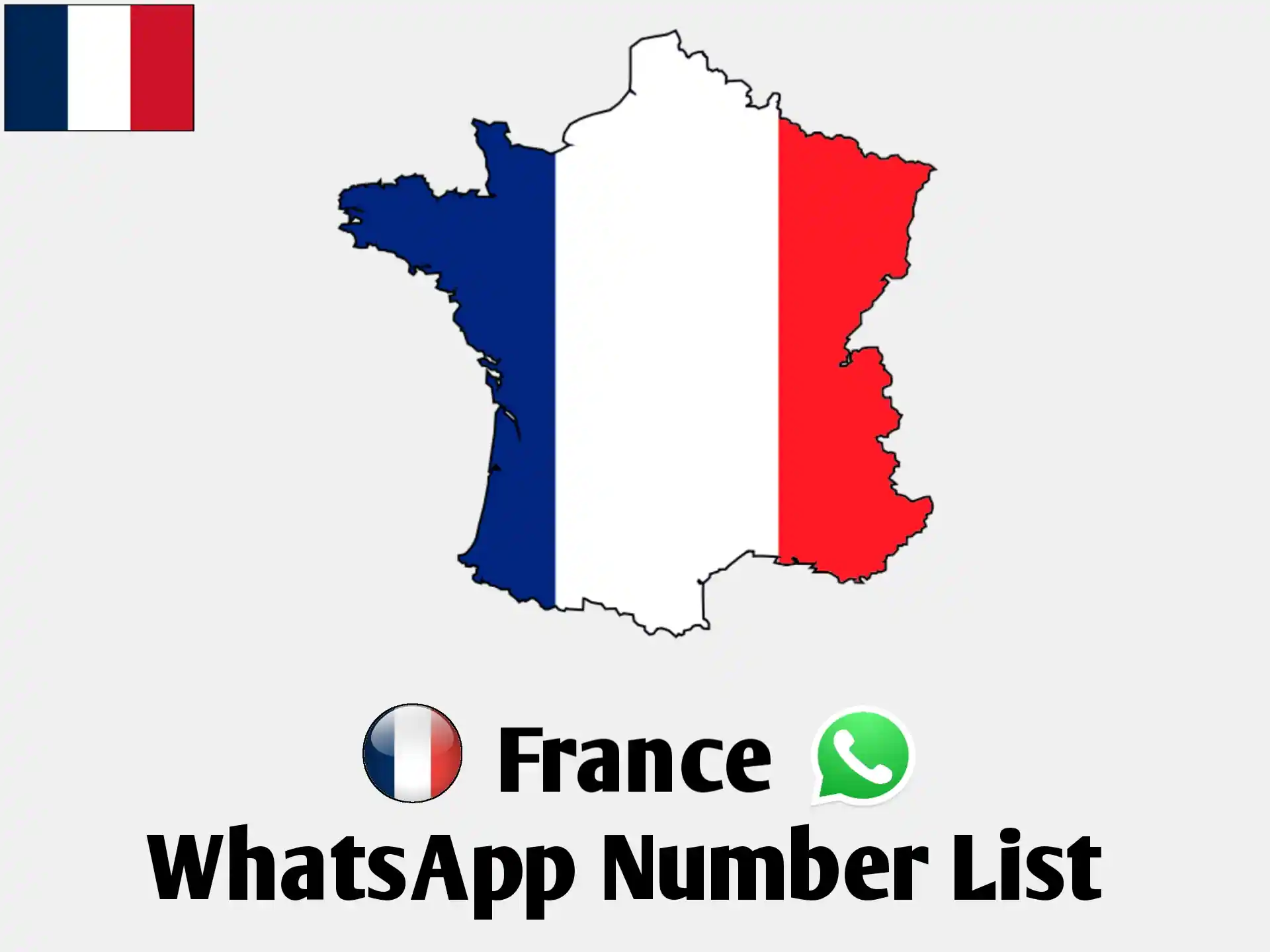 France Whatsapp number